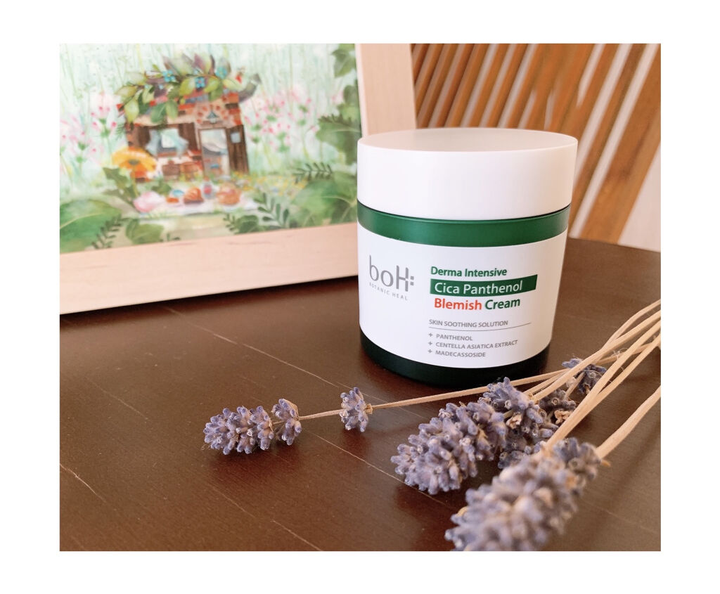 ダーマインテンシブシカパンテノールブラミッシュクリーム/BIOHEAL BOH/フェイスクリームを使ったクチコミ（1枚目）