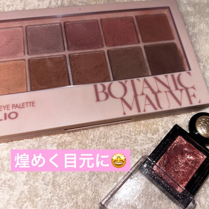 プロ アイ パレット/CLIO/アイシャドウパレットを使ったクチコミ(1枚目)