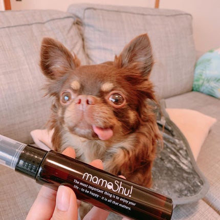 saaa on LIPS 「超万能の除菌消臭水✨ペットがいると除菌や消臭で使えるもの..」(7枚目)