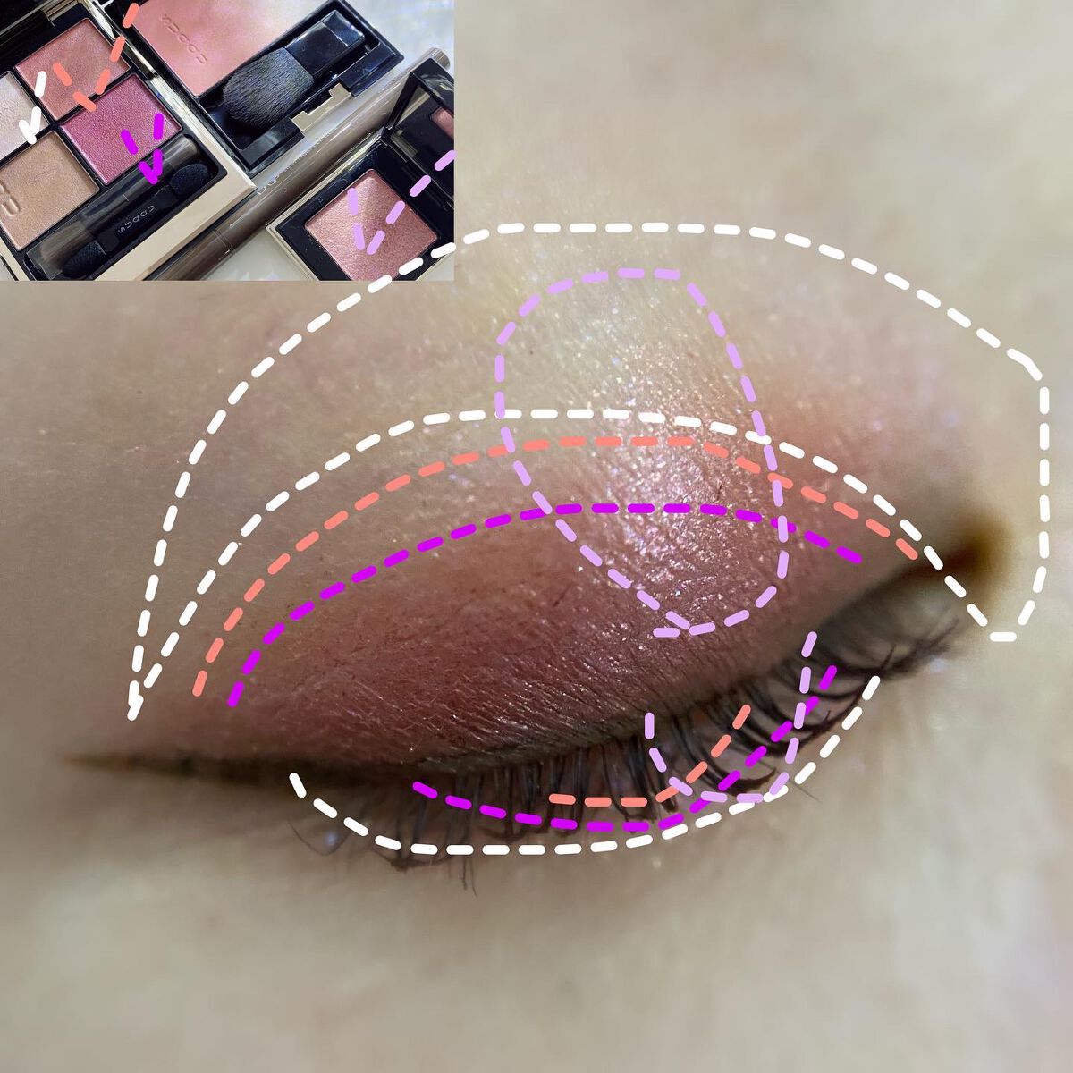 ピュア カラー ブラッシュ/SUQQU/パウダーチークを使ったクチコミ（3枚目）