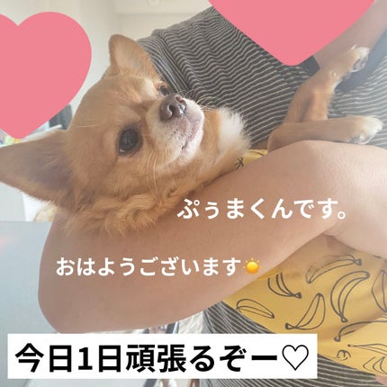 アイパレット/sopo/アイシャドウパレットを使ったクチコミ(9枚目)