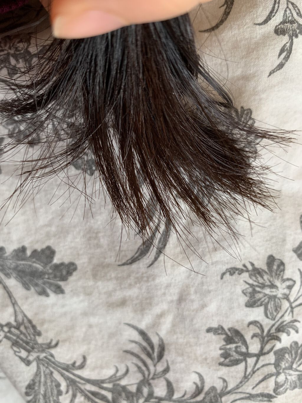 呂 ダメージケアシャンプー/コンディショナー/呂/市販シャンプーを使ったクチコミ（2枚目）