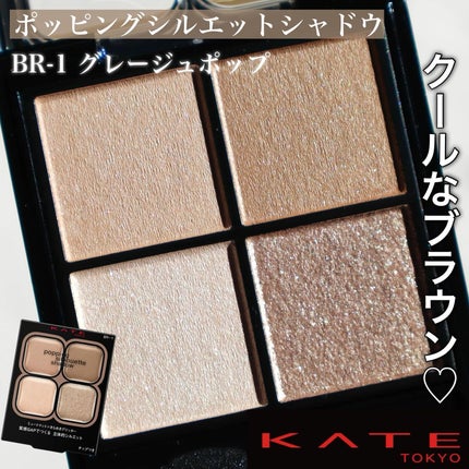 ケイト ポッピングシルエットシャドウ/KATE/アイシャドウパレットを使ったクチコミ(1枚目)