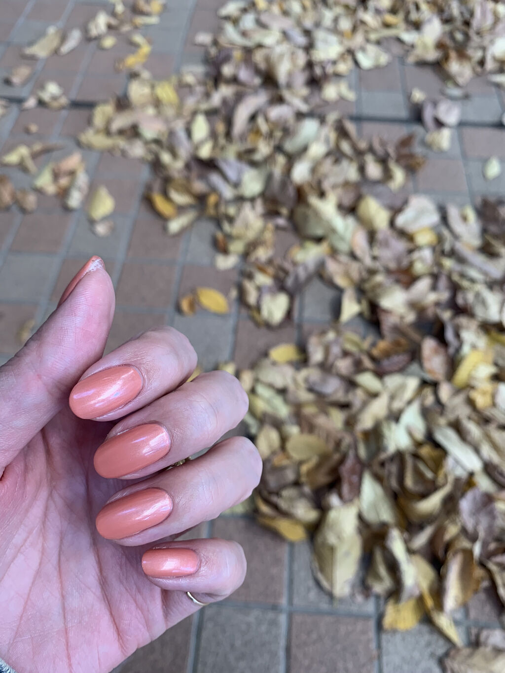 ディオール ヴェルニ 162 ミス サテン（生産終了）/Dior/マニキュアを使ったクチコミ（1枚目）