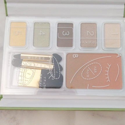 アイシャドウ&チーク/MiPOO/アイシャドウパレットを使ったクチコミ(2枚目)