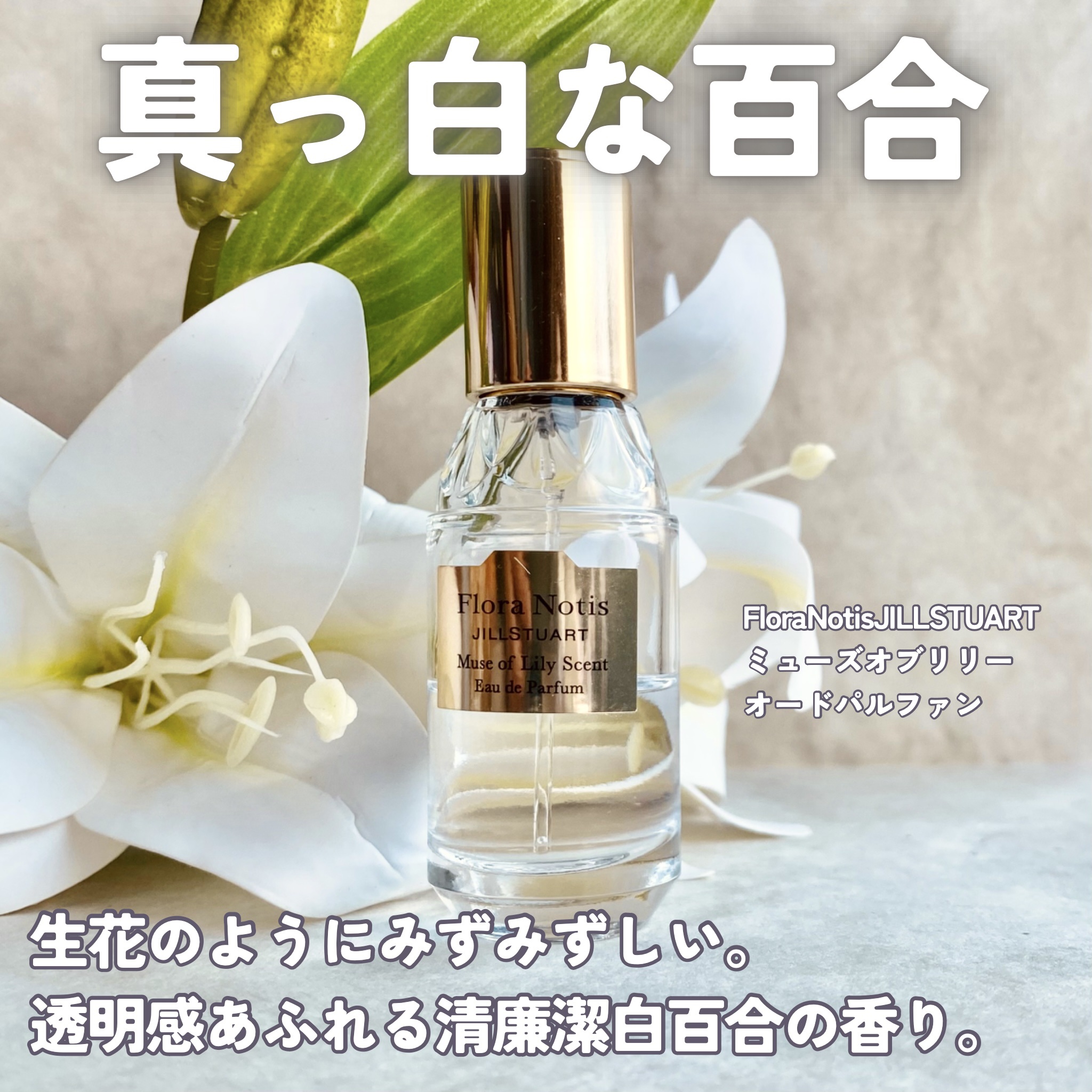 SHIRO・Flora Notis JILL STUART・ニコライ・DECORTÉ・J-Scentの香水
