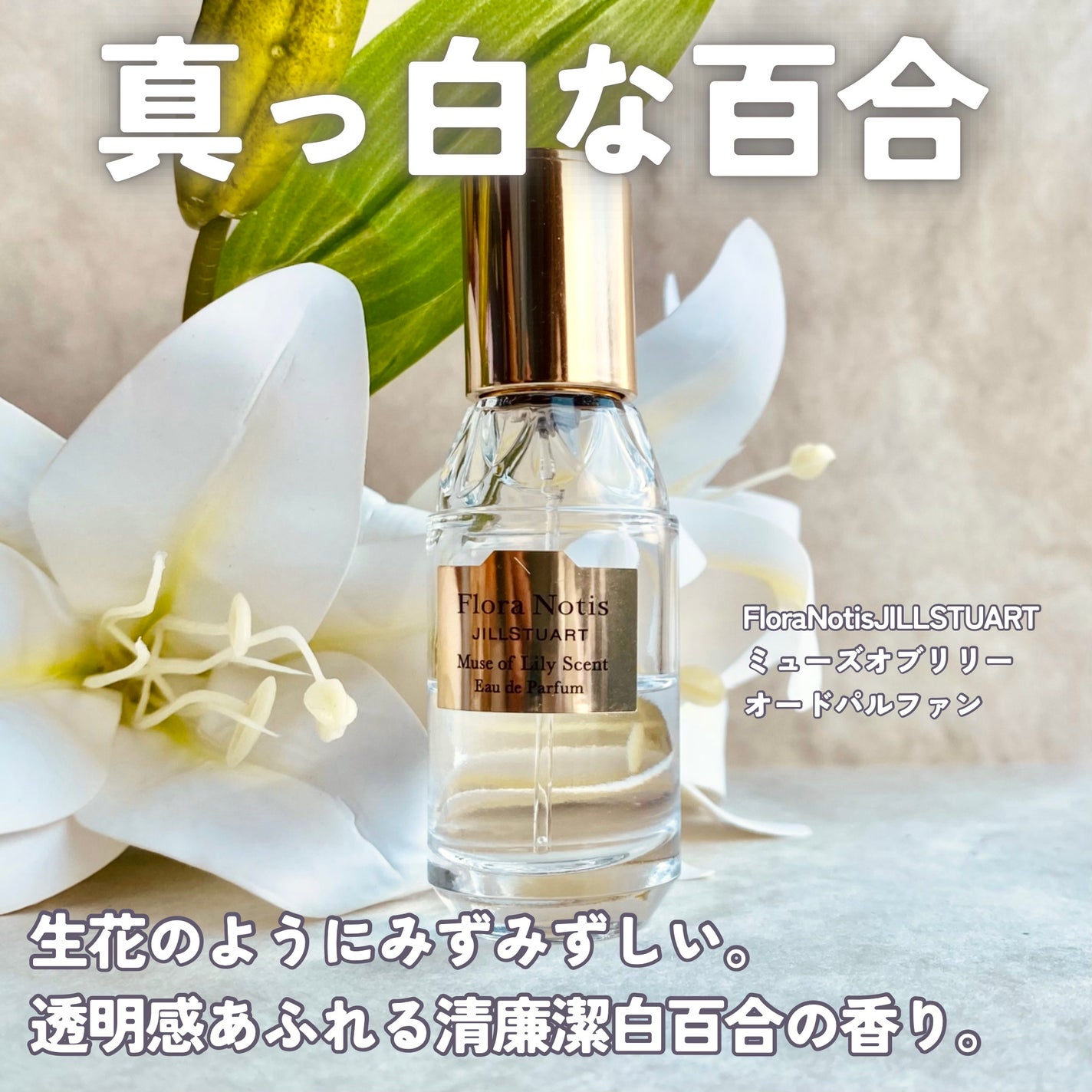 サボン オードパルファン/SHIRO/香水(レディース)を使ったクチコミ(5枚目)