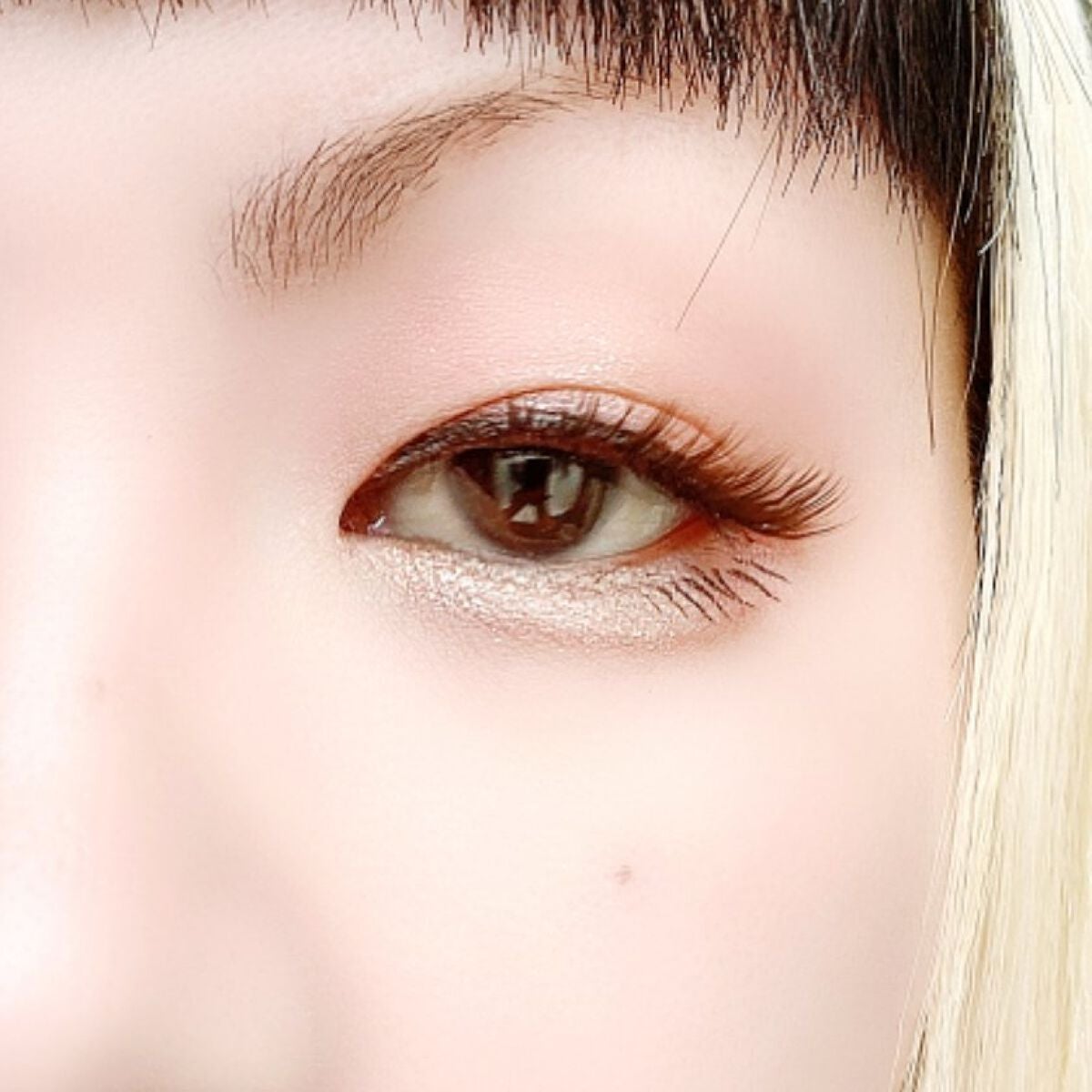 シルキースフレアイズ(マットタイプ)/キャンメイク/アイシャドウパレットを使ったクチコミ(5枚目)