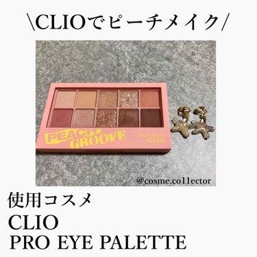 プロ アイ パレット/CLIO/アイシャドウパレットを使ったクチコミ（1枚目）