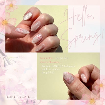 NAILTOWN GEL  ネイルタウンジェル 30色セット/NAILTOWN/ジェルネイルを使ったクチコミ(1枚目)