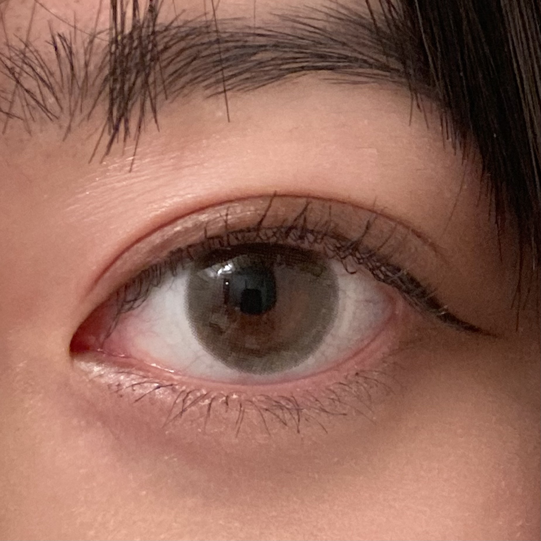 エバーカラーワンデー ナチュラル くぎづけの心/エバーカラー/ワンデー（１DAY）カラコンを使ったクチコミ（1枚目）