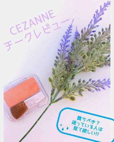 ナチュラル チークN/CEZANNE/パウダーチークを使ったクチコミ（1枚目）