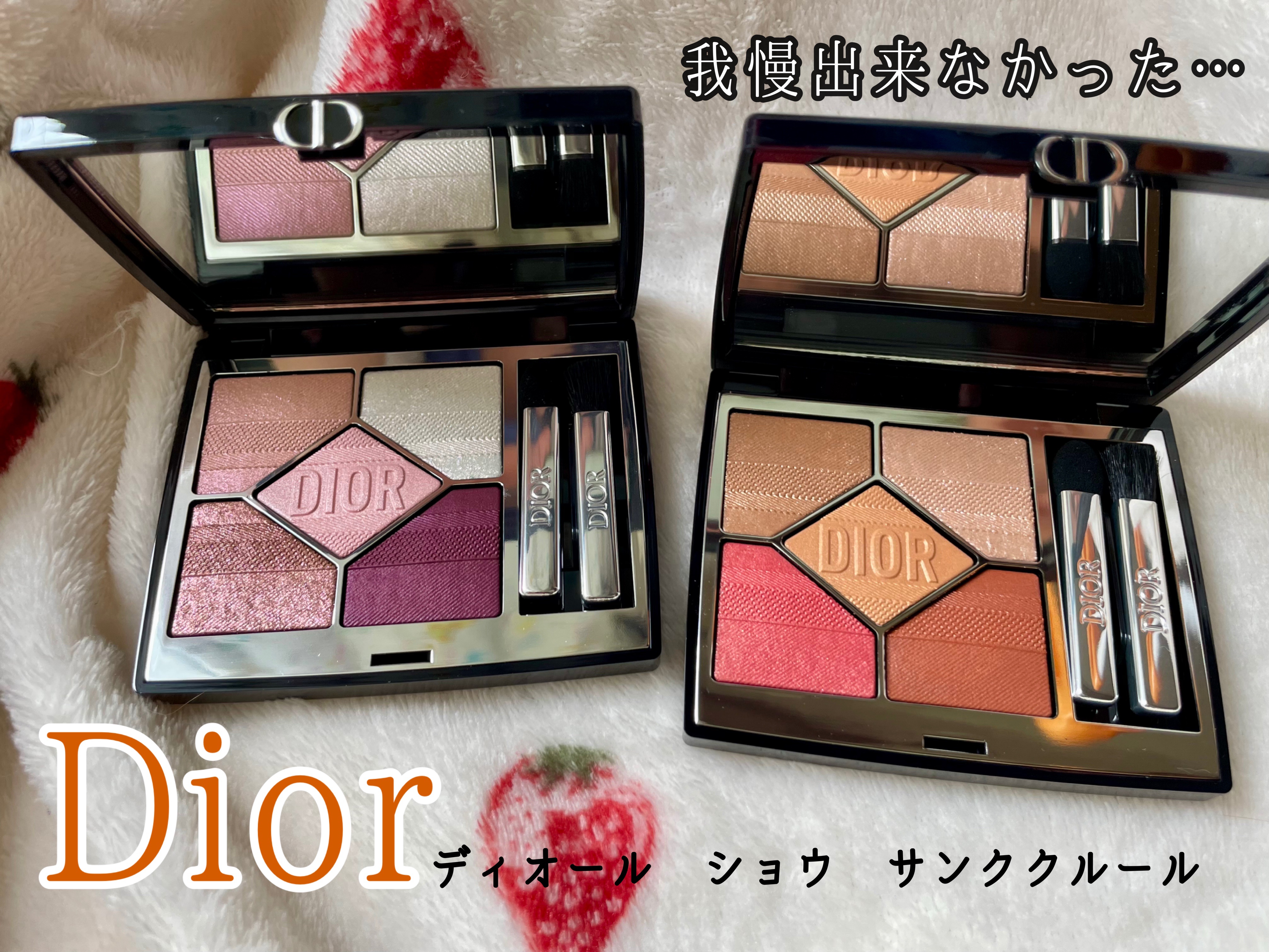 【旧】ディオールショウ サンク クルール（プラン ドゥ パリ コレクション限定品）/Dior/アイシャドウを使ったクチコミ（1枚目）