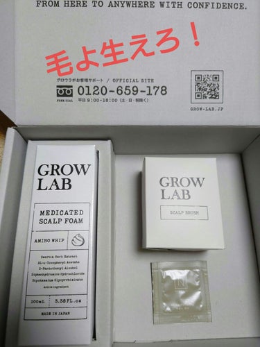 GROW LAB グロウラボ メディケイテッド スカルプフォーム 100ml