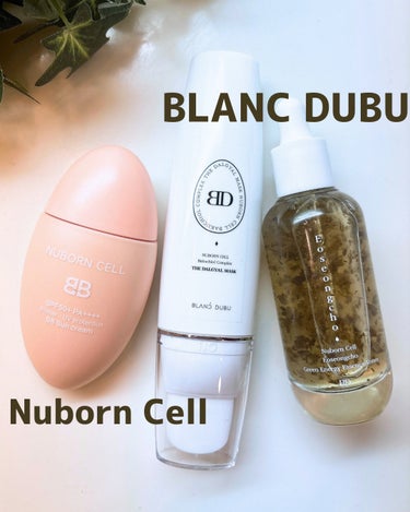 Nuborn Cell Eoseongcho Green Energy Essence Toner/BLANC DUBU/化粧水を使ったクチコミ（1枚目）