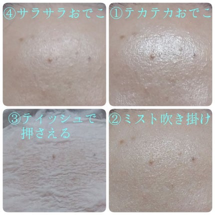 セロザンク/ラ ロッシュ ポゼ/ミスト状化粧水を使ったクチコミ(4枚目)