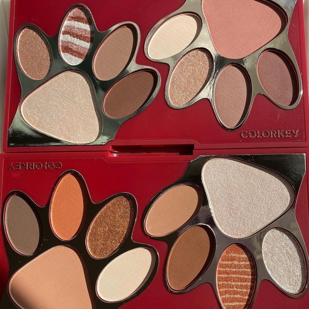 トラ十色アイシャドウパレット/COLORKEY/アイシャドウパレットを使ったクチコミ(7枚目)