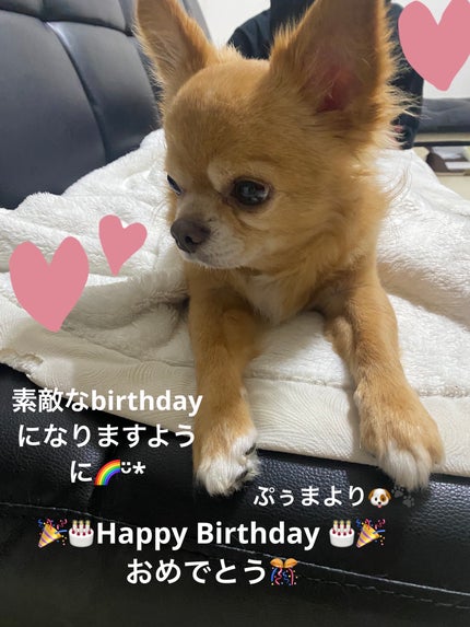 カラフルネイルズ/キャンメイク/マニキュアを使ったクチコミ(7枚目)