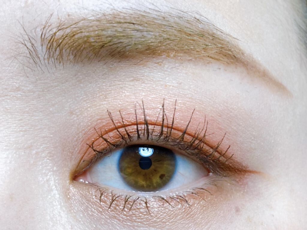 ロイヤルヴィンテージ アイズ/リンメル ロンドン/アイシャドウパレットを使ったクチコミ（2枚目）