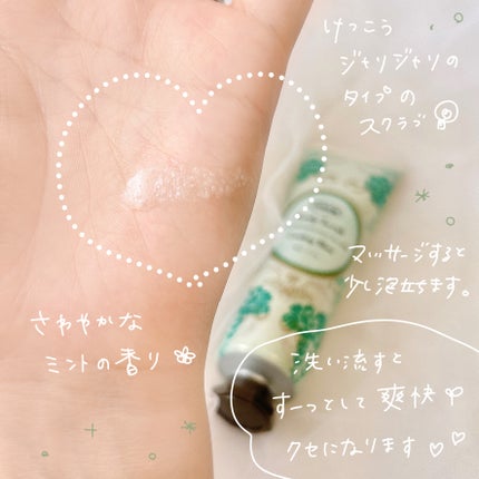 ヘッドスクラブ リフレッシング(ミント)/SABON/ヘッドスクラブを使ったクチコミ(3枚目)