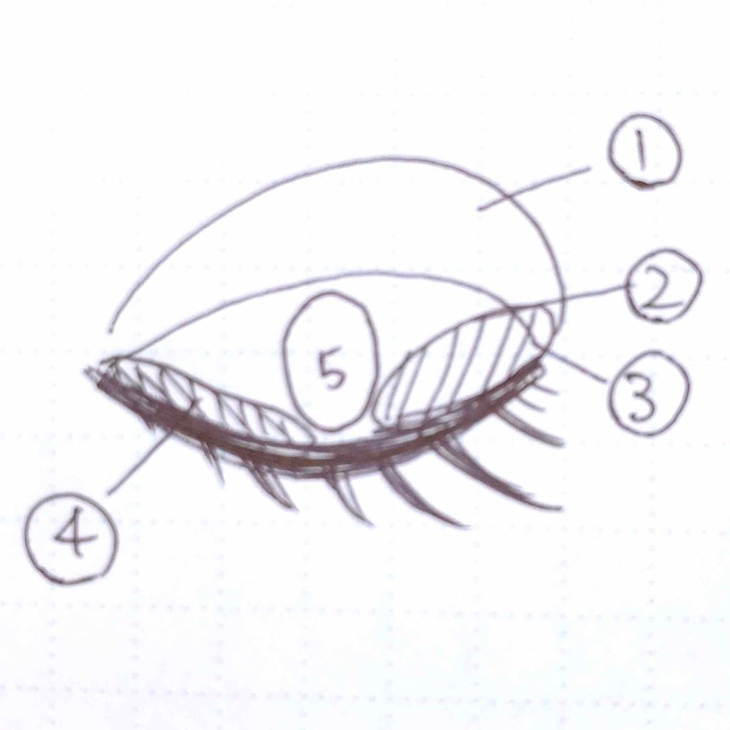【旧品】パーフェクトスタイリストアイズ/キャンメイク/アイシャドウパレットを使ったクチコミ（3枚目）