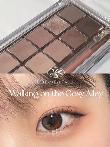 CLIO
Pro Eye Palette
#11 WALKING ON THE COSY ALLEY

韓国アイドルみたいな陰影メイクがしたい方におすすめ
雰囲気が出ます

彩度低めかと思いきやくすみの