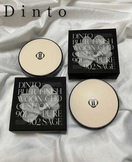 ブラーフィニッシュ雲楚クッション/Dinto/クッションファンデーションを使ったクチコミ(1枚目)