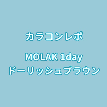 MOLAK 1day/MOLAK/ワンデー（１DAY）カラコンを使ったクチコミ（1枚目）