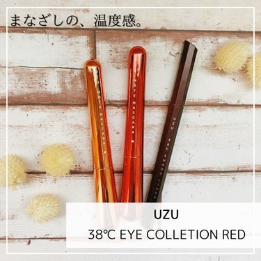 38℃ シェード ライナー SHEER RED/UZU BY FLOWFUSHI/リキッドアイライナーを使ったクチコミ（1枚目）