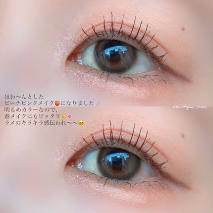 ヴィーガンフェイスオールパレット/AMUSE/アイシャドウパレットを使ったクチコミ(5枚目)