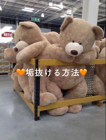 を使ったクチコミ(1枚目)