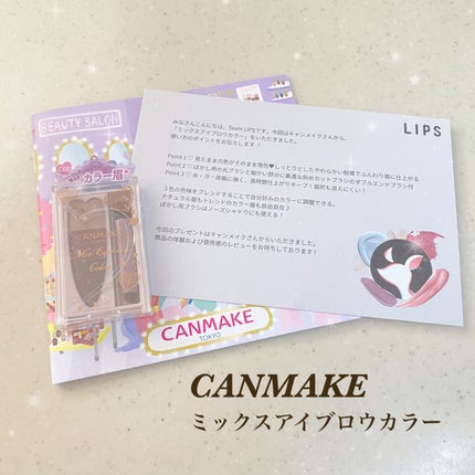 ミックスアイブロウカラー/キャンメイク/パウダーアイブロウを使ったクチコミ(1枚目)