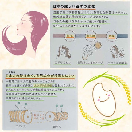 つるん シャンプー/トリートメント/WANOMI/シャンプー・コンディショナーを使ったクチコミ(4枚目)