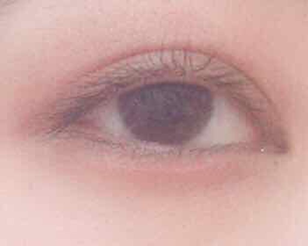 パーフェクトマルチアイズ/キャンメイク/アイシャドウパレットを使ったクチコミ（2枚目）