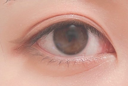 プティパレットアイズ(マットタイプ)/キャンメイク/パウダーアイシャドウを使ったクチコミ(3枚目)