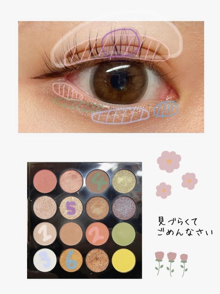 大英博物館 エジプトシリーズ アイシャドウパレット/ZEESEA/アイシャドウパレットを使ったクチコミ(2枚目)