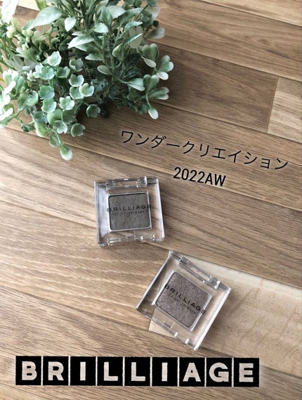 ワンダークリエイション /ブリリアージュ/単色アイシャドウを使ったクチコミ(1枚目)