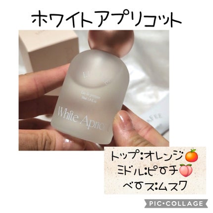 ソリッド パフューム ホワイトアプリコット/LUAFEE/練り香水を使ったクチコミ(2枚目)