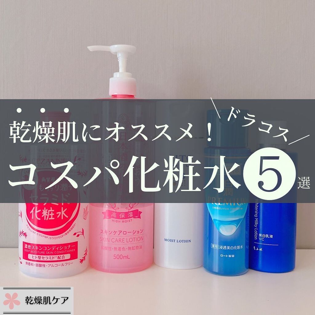 菊正宗・ちふれ・CEZANNE・肌ラボ・リッツの化粧水を使った