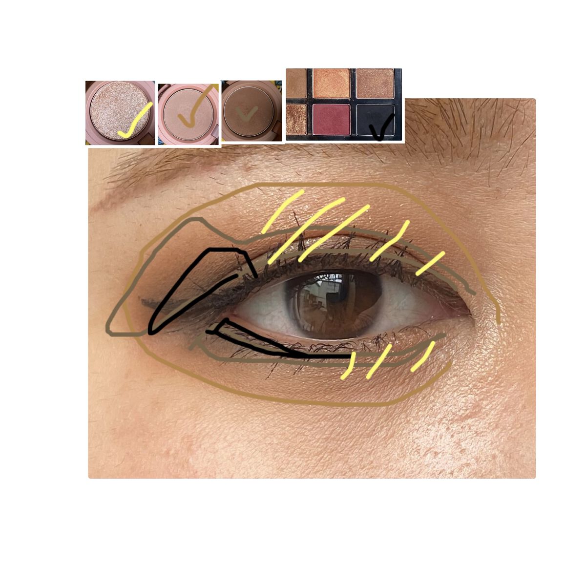 プレイカラーアイパレット レオパードランウェイ/ETUDE/アイシャドウパレットを使ったクチコミ（3枚目）