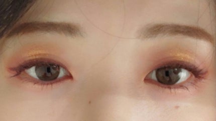 エクスプローラ12色 動物アイシャドウパレット/PERFECT DIARY/アイシャドウパレットを使ったクチコミ(2枚目)