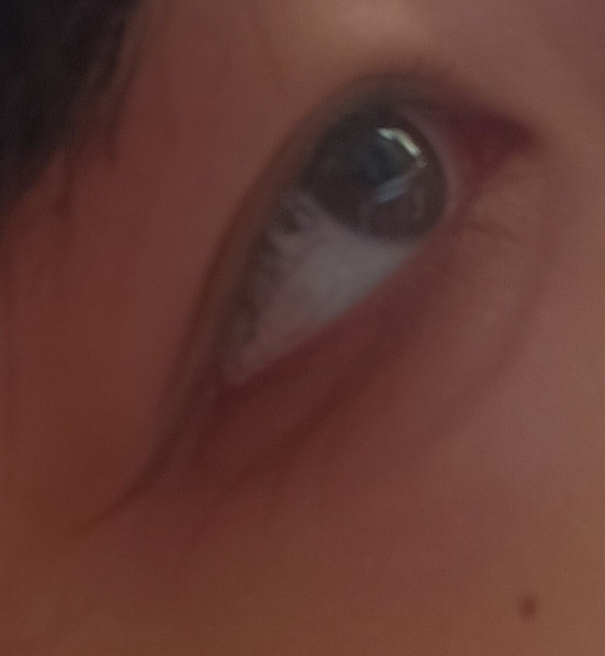 プロ アイ パレット/CLIO/アイシャドウパレットを使ったクチコミ（3枚目）