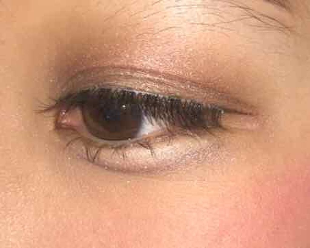 パーフェクトマルチアイズ/キャンメイク/アイシャドウパレットを使ったクチコミ（2枚目）