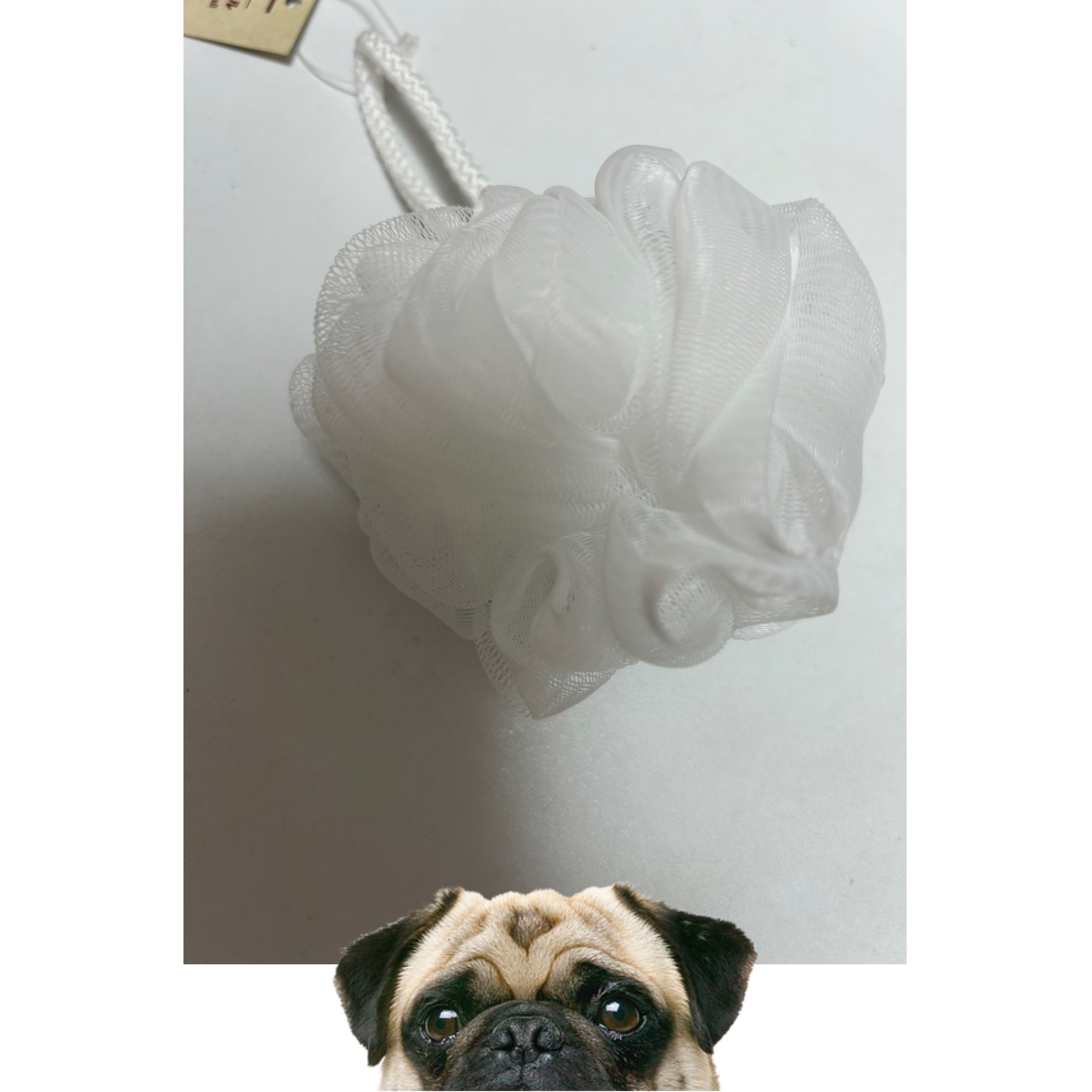 泡立てボール・小/無印良品/その他化粧小物を使ったクチコミ（1枚目）