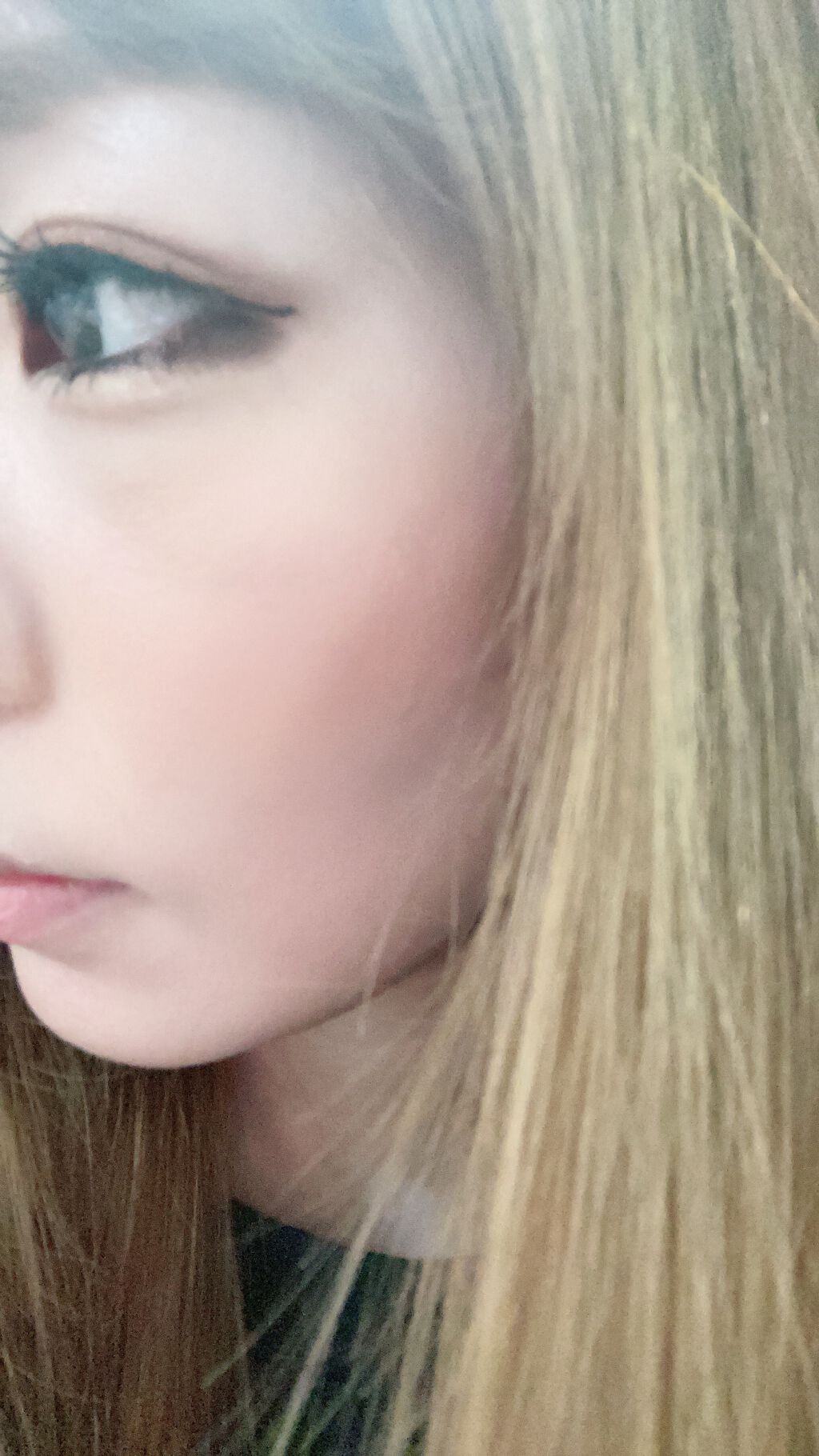 花神シリーズ チークブラッシュ/FlowerKnows/パウダーチークを使ったクチコミ(3枚目)