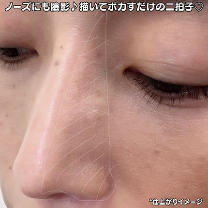プロ コントゥアリングノーズシェーディングキット/moumou/シェーディングを使ったクチコミ(5枚目)