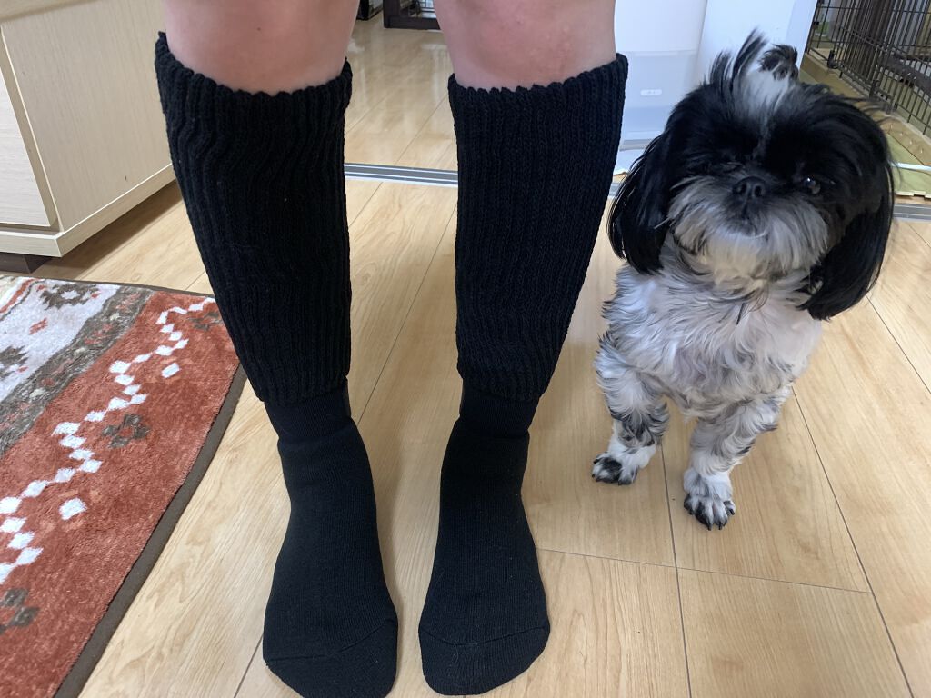 靴下サプリ まるでこたつ レディース ソックス/靴下サプリ/暖かい靴下を使ったクチコミ（3枚目）