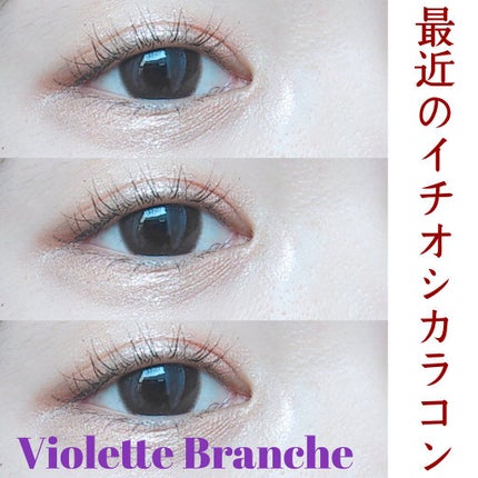 ヴィオレットブランシュ/ヴァイオレットブランシュ/カラーコンタクトレンズを使ったクチコミ(1枚目)