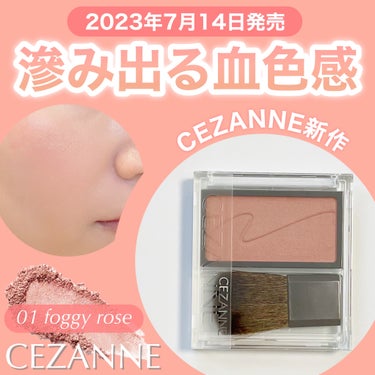 チークブラッシュ/CEZANNE/パウダーチークを使ったクチコミ（1枚目）