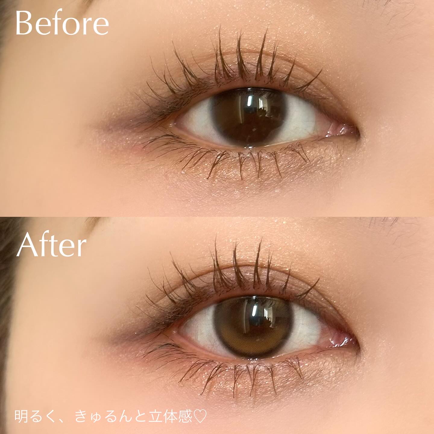 Double Tint 1day/OLENS/カラーコンタクトレンズを使ったクチコミ（3枚目）